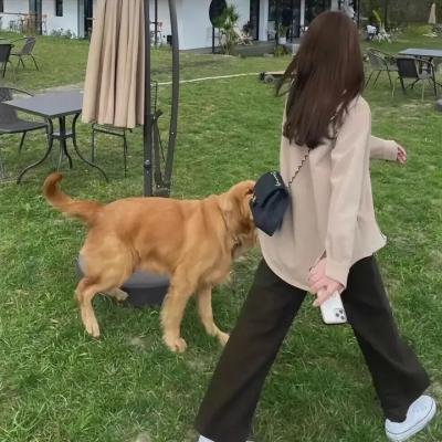 设想一下