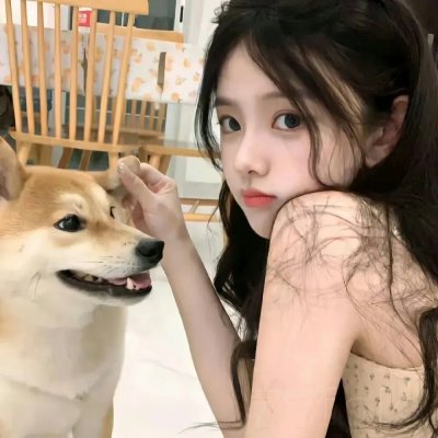 西线无战事